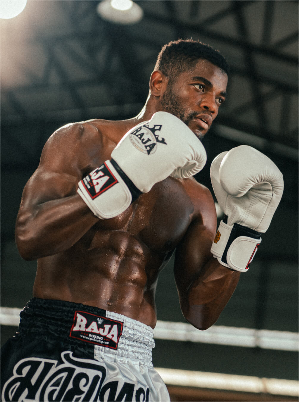 boxer